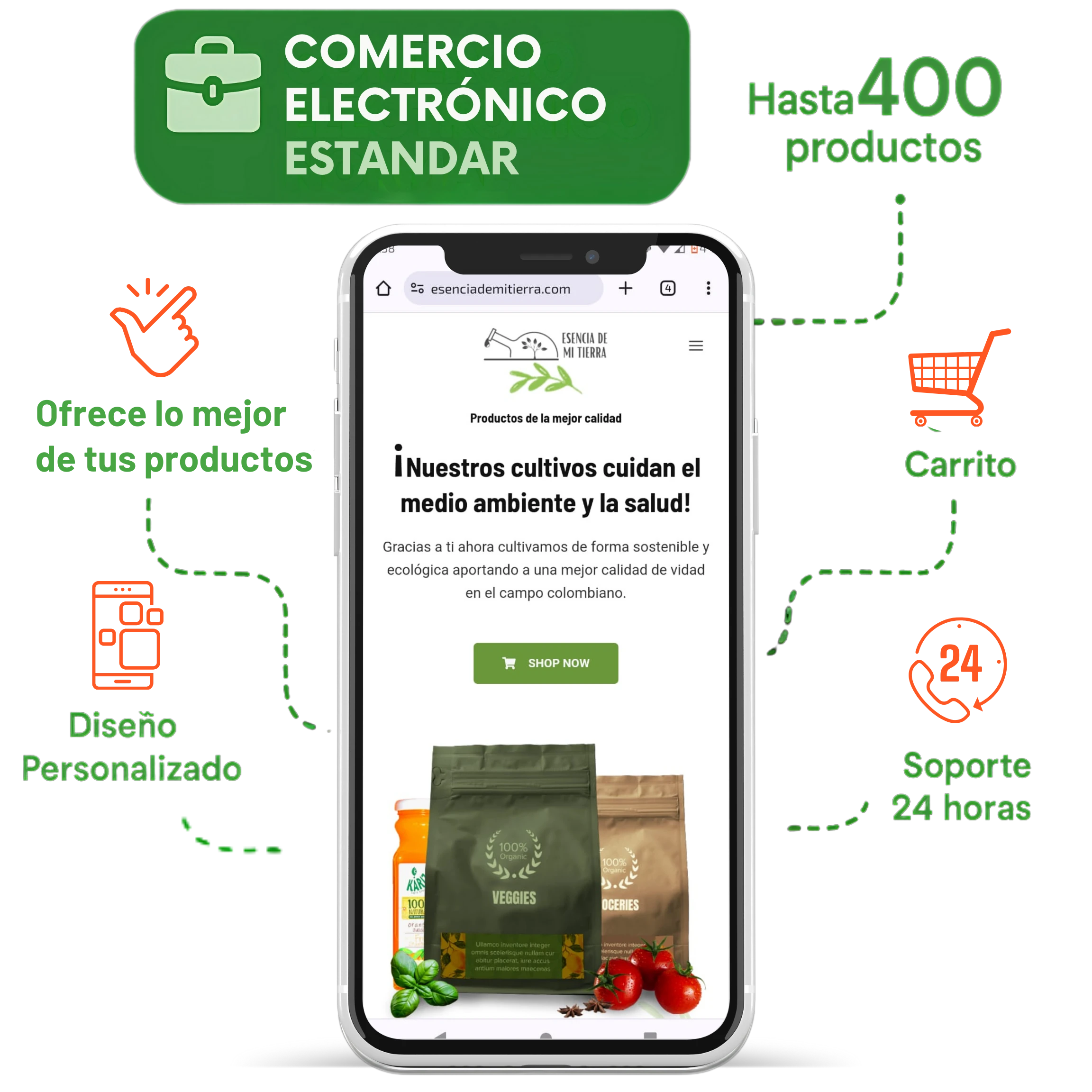 Comercio Electr&oacute;nico Pro