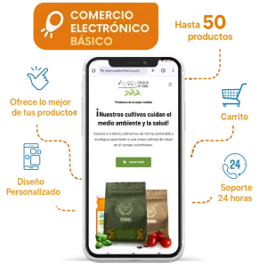Comercio Electrónico
